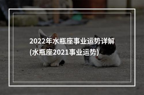 2022年水瓶座事业运势详解(水瓶座2021事业运势)