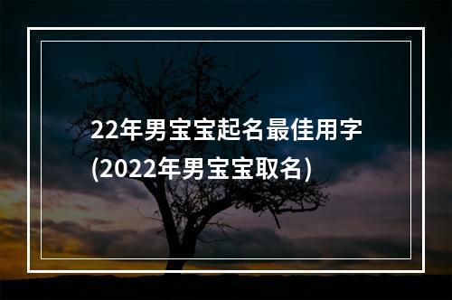 22年男宝宝起名最佳用字(2022年男宝宝取名)
