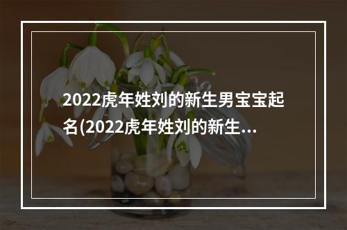 2022虎年姓刘的新生男宝宝起名(2022虎年姓刘的新生男宝宝起名)