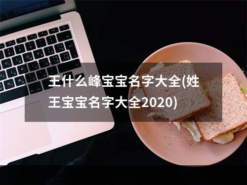 王什么峰宝宝名字大全(姓王宝宝名字大全2020)