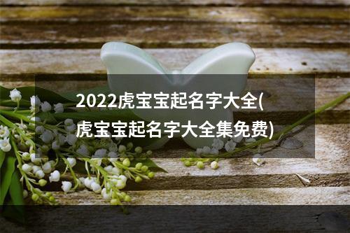 2022虎宝宝起名字大全(虎宝宝起名字大全集免费)