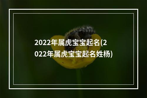 2022年属虎宝宝起名(2022年属虎宝宝起名姓杨)