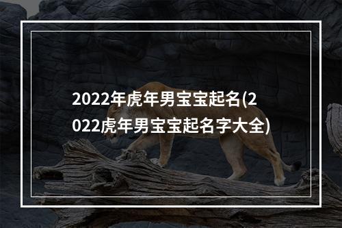 2022年虎年男宝宝起名(2022虎年男宝宝起名字大全)