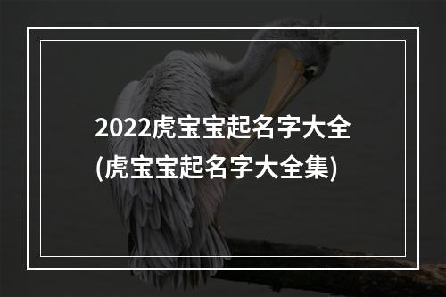 2022虎宝宝起名字大全(虎宝宝起名字大全集)