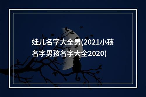 娃儿名字大全男(2021小孩名字男孩名字大全2020)