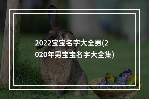 2022宝宝名字大全男(2020年男宝宝名字大全集)