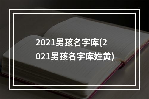 2021男孩名字库(2021男孩名字库姓黄)