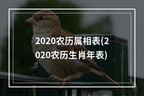 2020农历属相表(2020农历生肖年表)