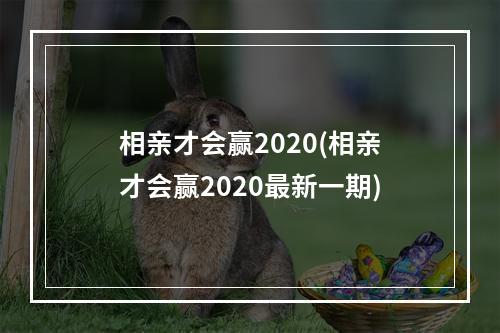 相亲才会赢2020(相亲才会赢2020最新一期)