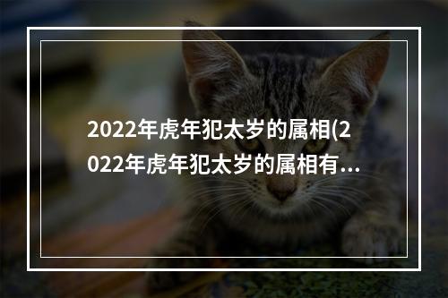 2022年虎年犯太岁的属相(2022年虎年犯太岁的属相有哪些)