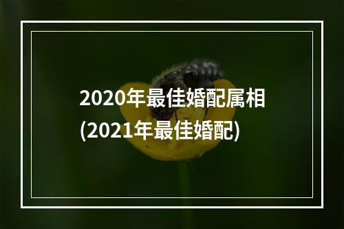 2020年最佳婚配属相(2021年最佳婚配)
