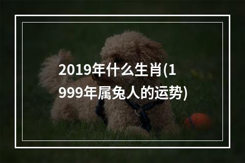 2019年什么生肖(1999年属兔人的运势)