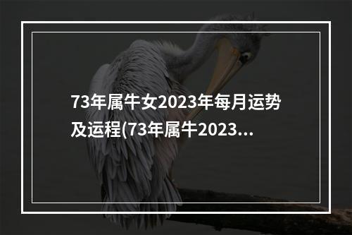 73年属牛女2023年每月运势及运程(73年属牛2023年的运势)