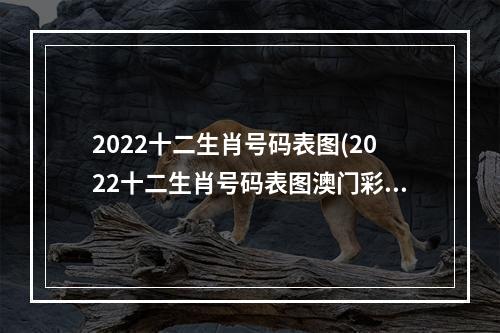 2022十二生肖号码表图(2022十二生肖号码表图澳门彩)