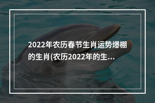 2022年农历春节生肖运势爆棚的生肖(农历2022年的生肖是什么)