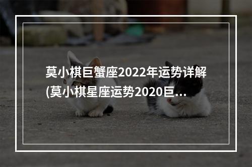 莫小棋巨蟹座2022年运势详解(莫小棋星座运势2020巨蟹座)