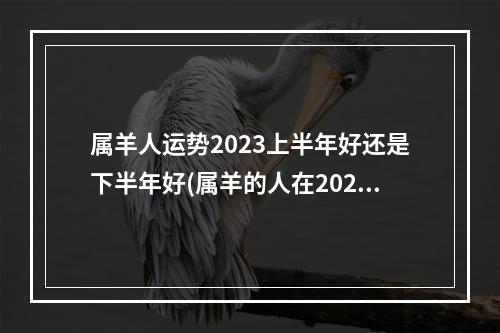 属羊人运势2023上半年好还是下半年好(属羊的人在2023年的运势怎么样)