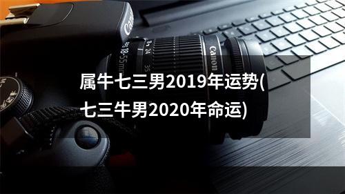 属牛七三男2019年运势(七三牛男2020年命运)