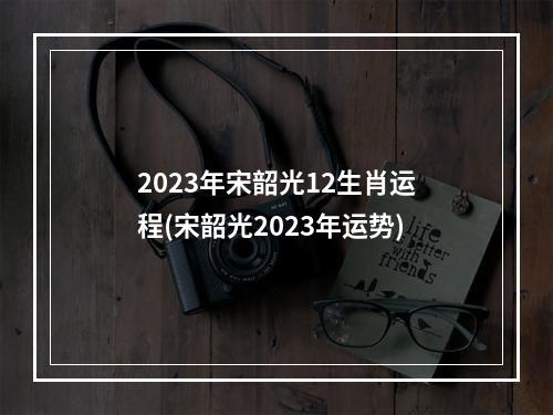 2023年宋韶光12生肖运程(宋韶光2023年运势)