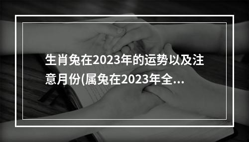 生肖兔在2023年的运势以及注意月份(属兔在2023年全年运势如何)