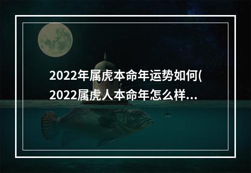 2022年属虎本命年运势如何(2022属虎人本命年怎么样)