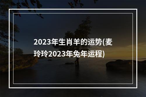 2023年生肖羊的运势(麦玲玲2023年兔年运程)