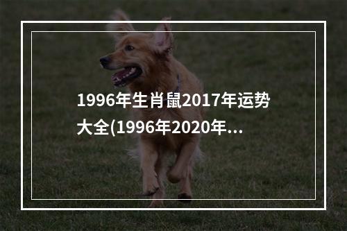1996年生肖鼠2017年运势大全(1996年2020年鼠人运势运程)