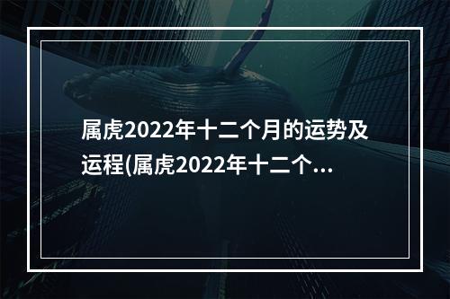 属虎2022年十二个月的运势及运程(属虎2022年十二个月的运势及运程)