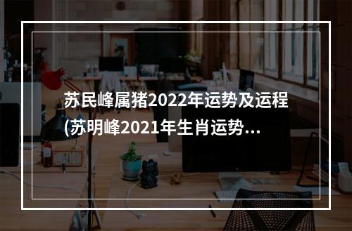 苏民峰属猪2022年运势及运程(苏明峰2021年生肖运势)
