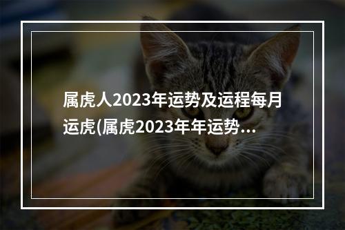属虎人2023年运势及运程每月运虎(属虎2023年年运势如何)