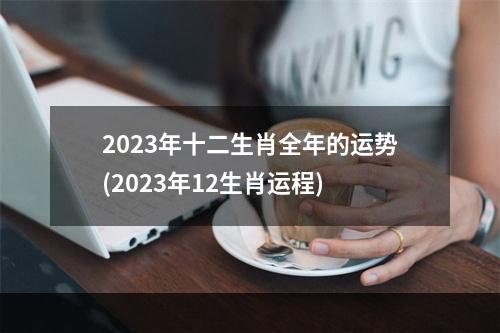 2023年十二生肖全年的运势(2023年12生肖运程)