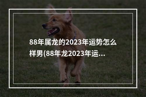 88年属龙的2023年运势怎么样男(88年龙2023年运势及运程)