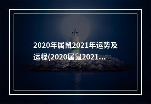 2020年属鼠2021年运势及运程(2020属鼠2021年运势及运程)
