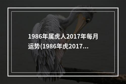 1986年属虎人2017年每月运势(1986年虎2017年运势)