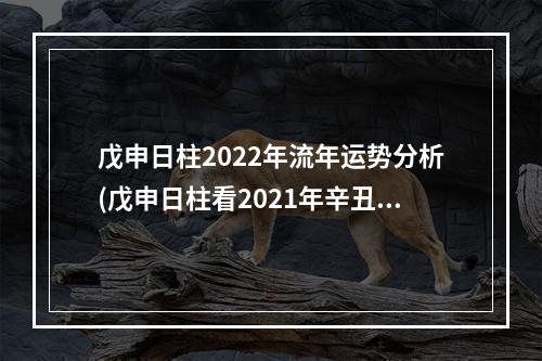 戊申日柱2022年流年运势分析(戊申日柱看2021年辛丑年运势)