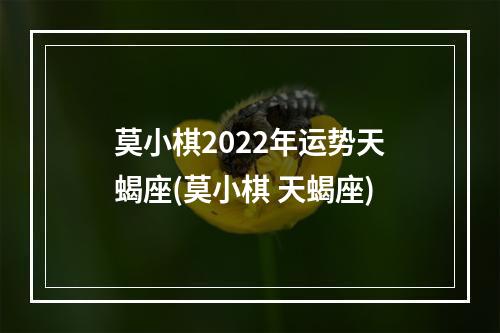 莫小棋2022年运势天蝎座(莫小棋 天蝎座)