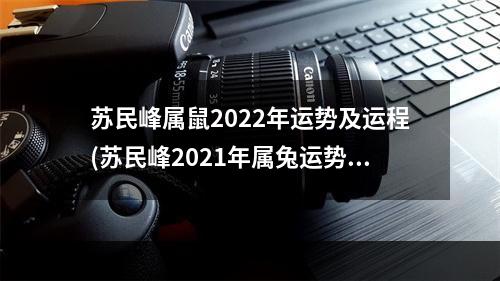 苏民峰属鼠2022年运势及运程(苏民峰2021年属兔运势)
