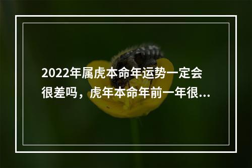 2022年属虎本命年运势一定会很差吗，虎年本命年前一年很倒霉吗(2022年属虎本命年运势如何)
