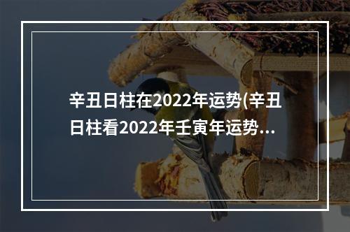 辛丑日柱在2022年运势(辛丑日柱看2022年壬寅年运势)