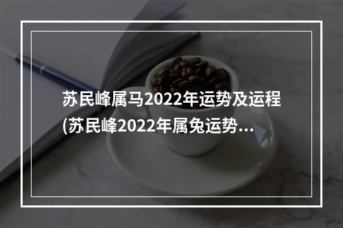 苏民峰属马2022年运势及运程(苏民峰2022年属兔运势)