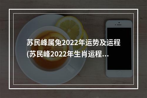 苏民峰属兔2022年运势及运程(苏民峰2022年生肖运程)
