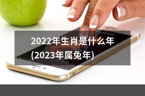2022年生肖是什么年(2023年属兔年)