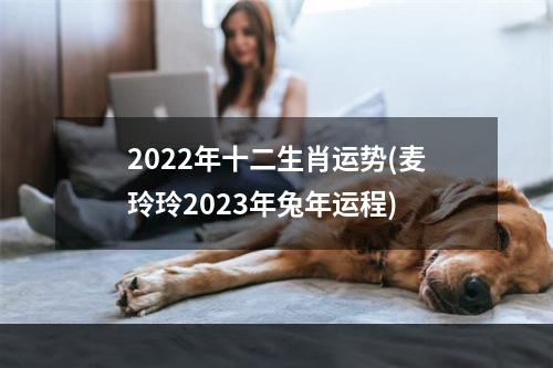 2022年十二生肖运势(麦玲玲2023年兔年运程)