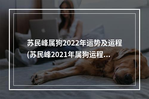 苏民峰属狗2022年运势及运程(苏民峰2021年属狗运程)