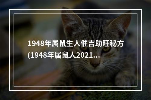 1948年属鼠生人催吉助旺秘方(1948年属鼠人2021年健康运势)