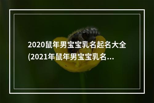 2020鼠年男宝宝乳名起名大全(2021年鼠年男宝宝乳名大全)