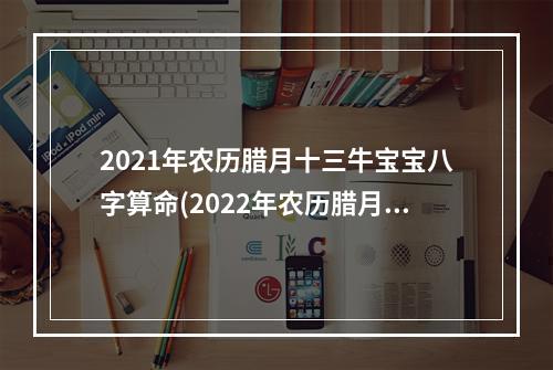 2021年农历腊月十三牛宝宝八字算命(2022年农历腊月十三)
