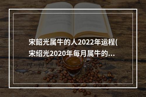 宋韶光属牛的人2022年运程(宋绍光2020年每月属牛的运程)