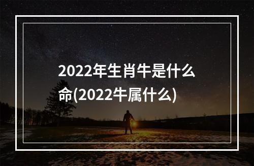 2022年生肖牛是什么命(2022牛属什么)