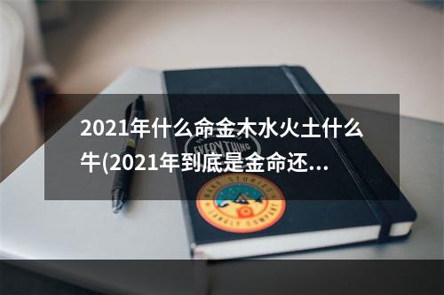 2021年什么命金木水火土什么牛(2021年到底是金命还是水命)